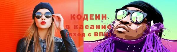 дмт Алексин